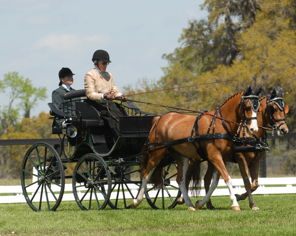 Pairs Presentation Carriage Bennington Carriages
